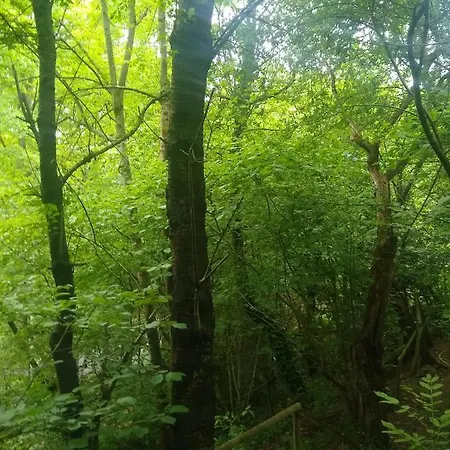 Feriehus Retreat Wilderness Loessnitz-hochland Ot Reichenberg *