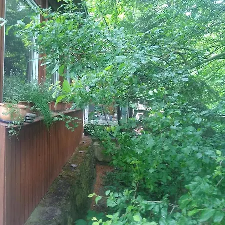 Retreat Wilderness Loessnitz-hochland Ot Reichenberg Holiday home Moritzburg