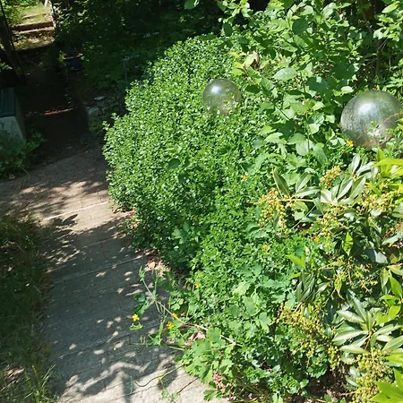Retreat Wilderness Loessnitz-hochland Ot Reichenberg בית נופש מוריצבורג