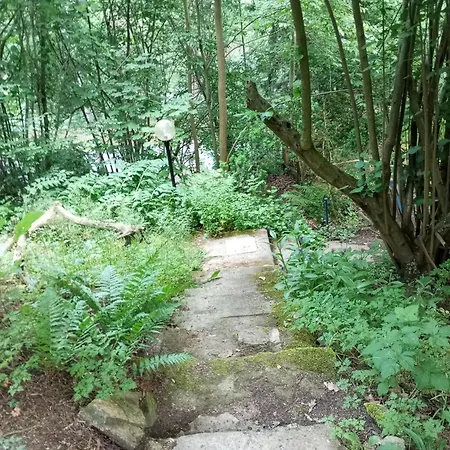 Retreat Wilderness Loessnitz-hochland Ot Reichenberg