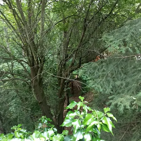 Retreat Wilderness Loessnitz-hochland Ot Reichenberg Feriehus